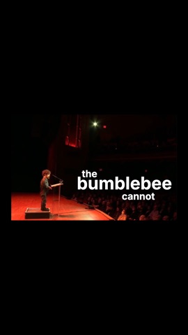 iPhone screen content